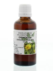 Natura Sanat Grindelia Robusta Herba Tinctuur, 50 ml