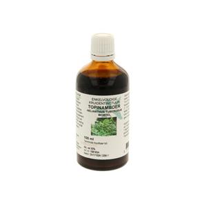 Natura Sanat Helianthus Tuberosus / Topinamboer Tinctuur, 100 ml