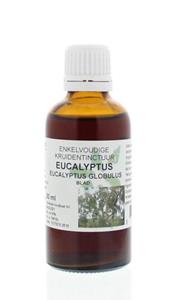 Natura Sanat Eucalyptus Globulus Folia Tinctuur, 50 ml