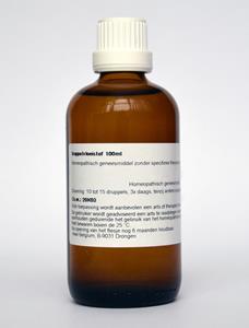 Homeoden Heel Vitis Vinifera Phyto, 100 ml