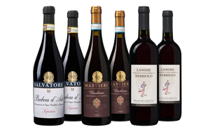 Wijnbeurs Oude Wijnkoersen Piemonte Wijnpakket