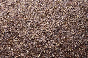 TeaKing Vanille
 -
 Rooibos thee