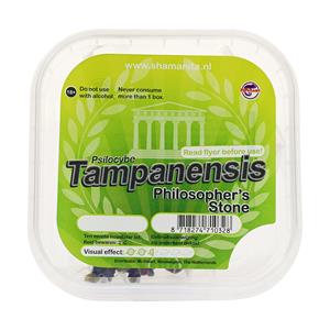 Tampanensis Magic Truffels 15 gram (normale trip)