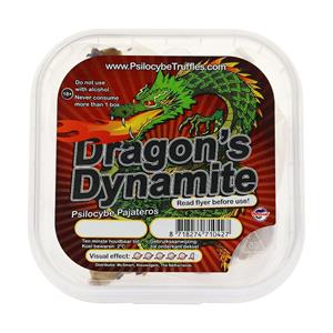 Dragon's Dynamite Magic Truffels 15 gram (normale trip)