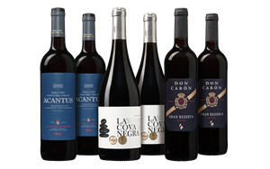 Wijnbeurs Passievol Spaans Wijnpakket