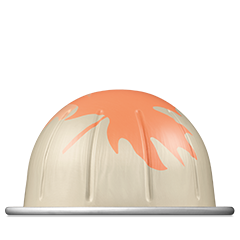 Nespresso Maple Pecan