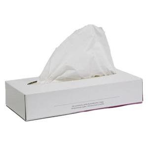 Papstar 100x stuks 2-laags papieren tissues -