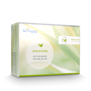 BioProphyl Detox 3-maanden pakket 3 x BIO Chlorella 500 DE-ÖKO-013 + 3 x Daslook Extract + 1 x Koriander Extract + gebruiksaanwijzing