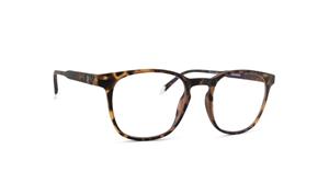 Barner Screen Dalston Tortoise