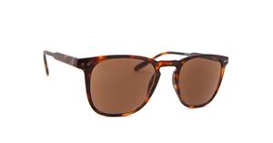 I need you Reading Sun Playa Tortoise/Brown