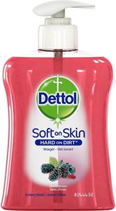 Dettol Handzeep Winterberries 250 ml