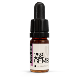 Natural Heroes Gember CO2 Extract 5 ml