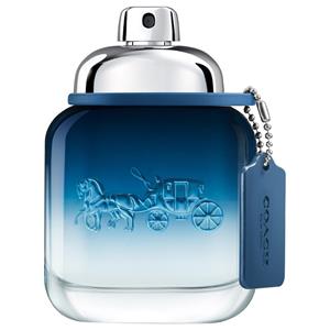 Coach Blue Eau de Toilette Spray