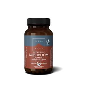 Terranova Fermented mushroom complex