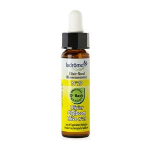 Olive/olijf 29 bio 10 ml