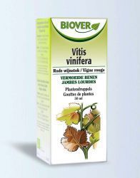 Vitis vinifera 50ml