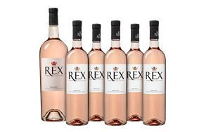 REX Rosé pakket met Magnum - 6 flessen