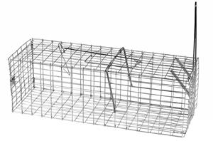 AllesTegenOngedierte.nl Opvouwbare vangkooi voor ratten
