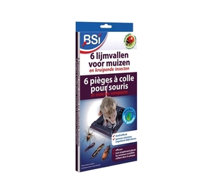 BSI 6 lijmvallen voor Muizen