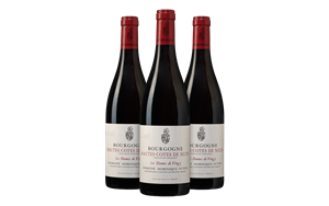 Wijnbeurs.be Hautes Cotes de Nuits, Antonin Guyon 'Dames de Vergy' - 3 flessen