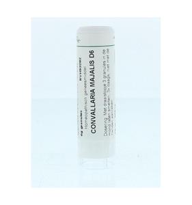 Homeoden Heel Convallaria majalis d6 4 Gram