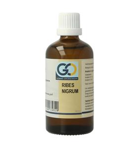 GO Ribes nigrum BIO
