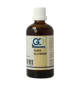 GO Alnus glutinosa