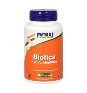 NOW Biotica 4x6 Acidophilus