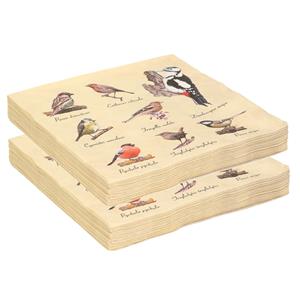 Esschert Design 40x Papieren servetten met vogels print - 33 x 33 cm - tuinvogels - 3 laags -
