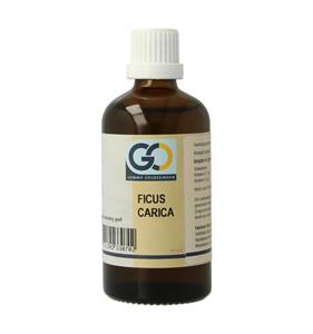 GO Ficus carica BIO