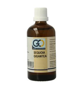 GO Sequoia gigantea BIO