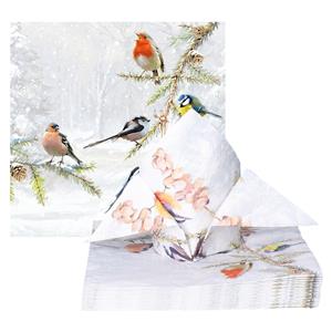 Ambiente Servetten Tuinvogels - 60x stuks - 33 cm - vogel thema -