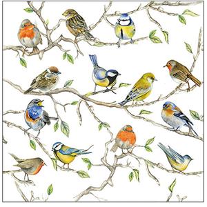 Ambiente 60x Tafel diner/lunch servetten 33 x 33 cm tuinvogels print -