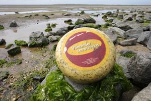4,5kg Vlielander Zeewierkaas (bio)