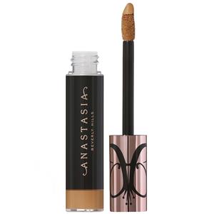 Anastasia Beverly Hills NATURAL & POLISHED DELUXE BROW KIT