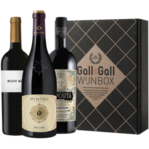 Gall & Gall Wijnbox Zwoel Rood 3X75CL