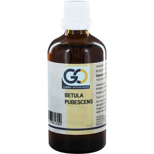 GO Betula pubescens BIO