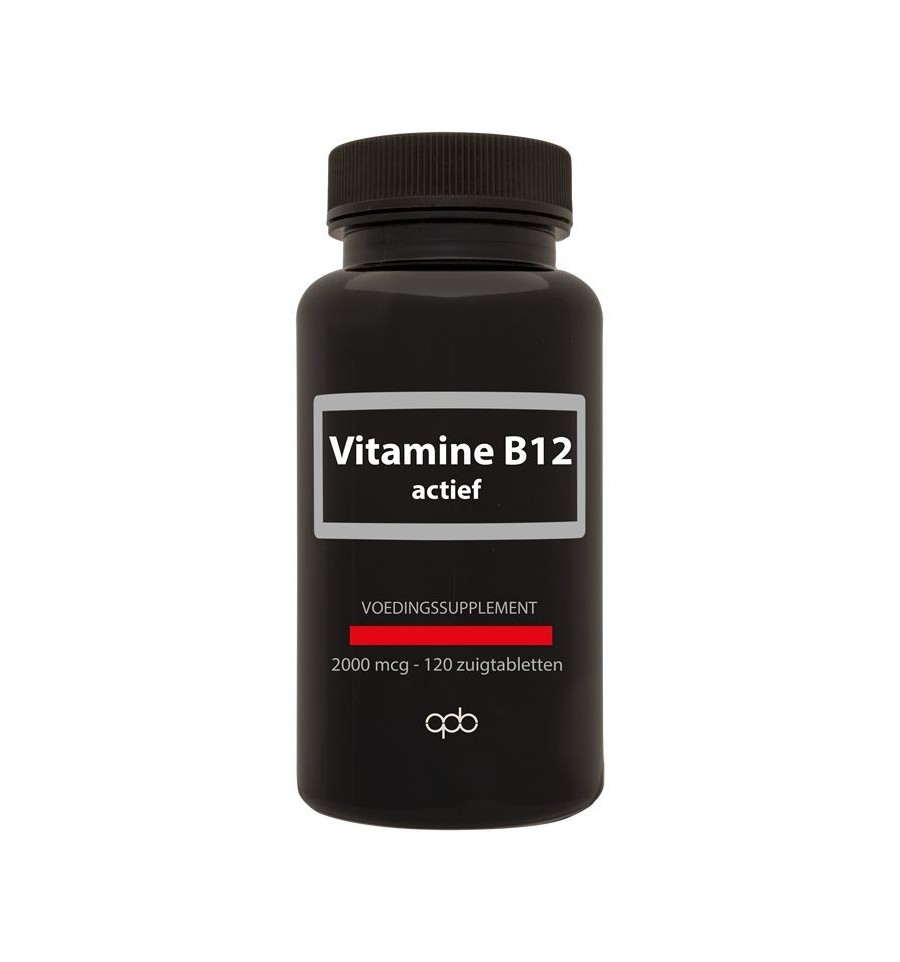 Apb Holland Vitamine B12 actief 2000mcg