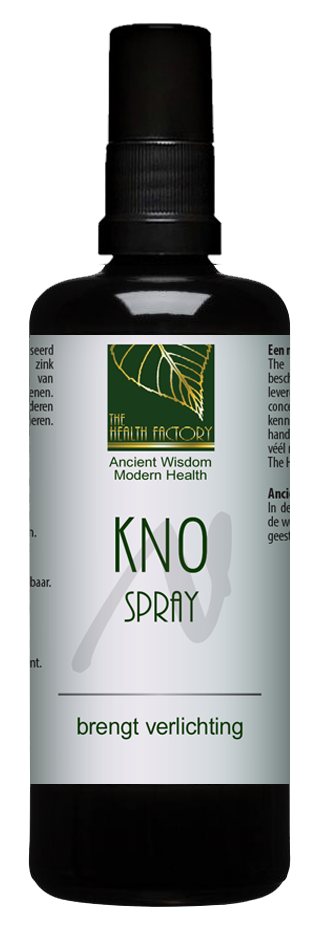 Health Factory The  - KNO spray with Zinc and Silver 100 ml