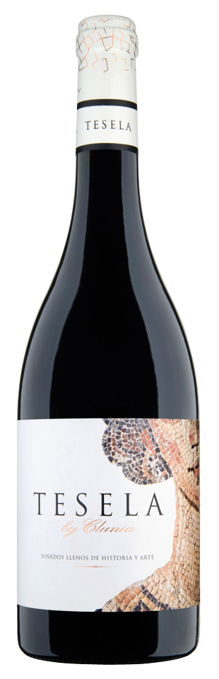 Bodegas Principe de Viana Tesela by Clunia