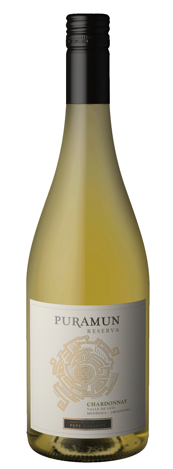 Bodegas Salentein Puramun Chardonnay