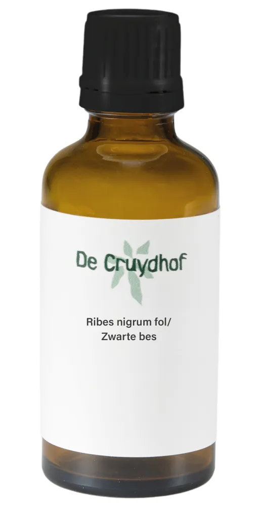 Ribes Nigrum Fol/Zwarte Bes Druppels