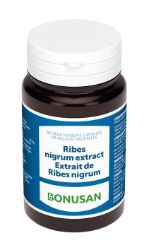 Ribes nigrum extract 60 Capsules