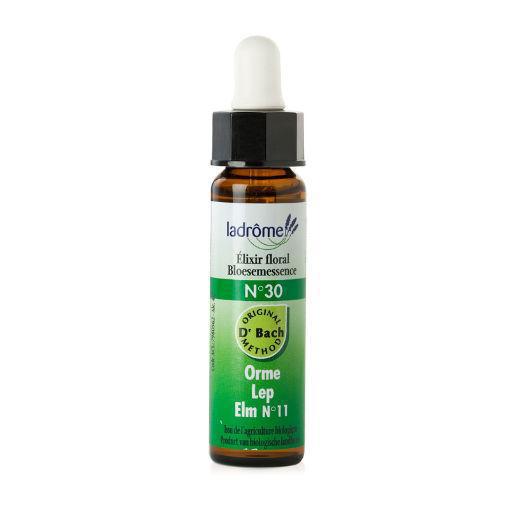 Elm / iep 10ml