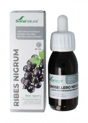 Ribes Nigrum XXI Extract