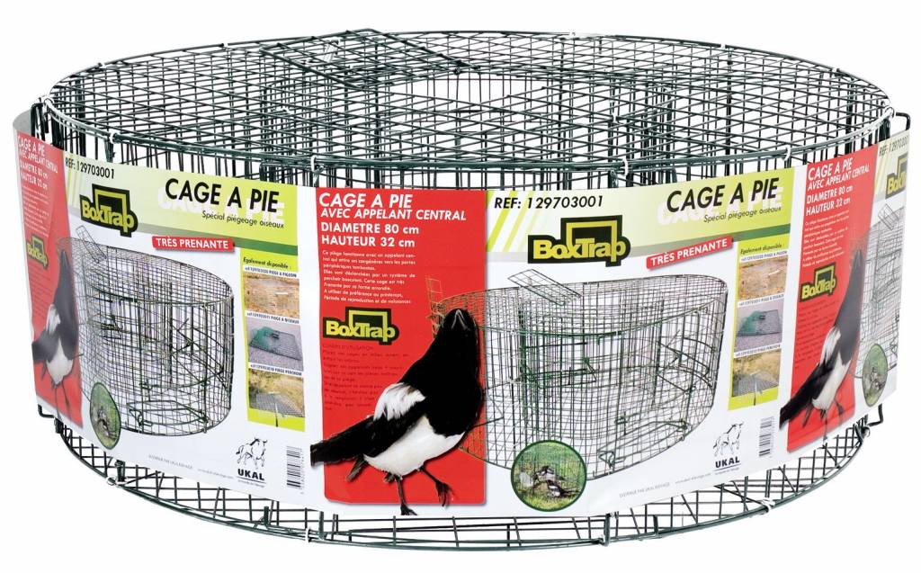 Boxtrap Vogelvangkooi