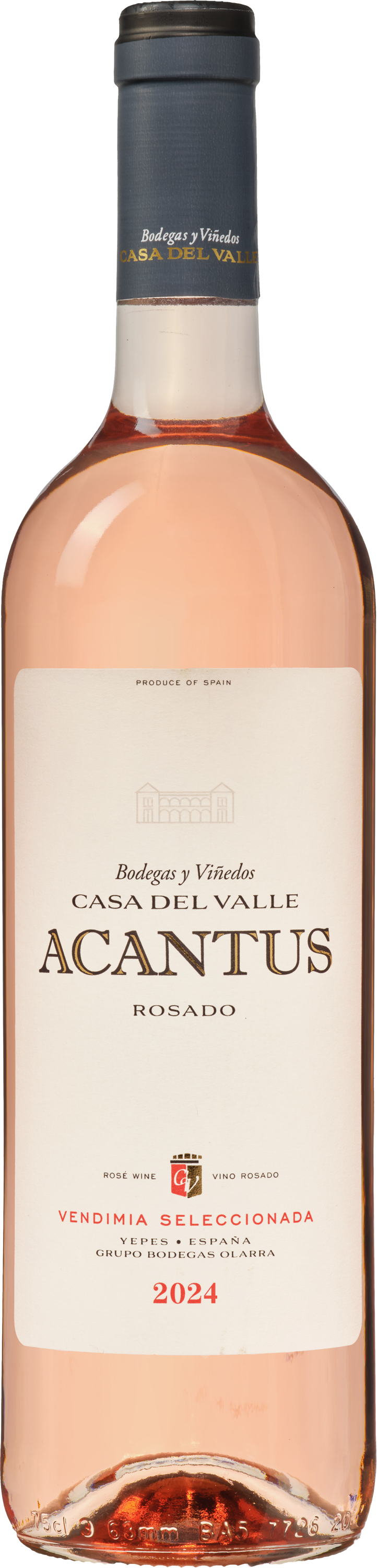Acantus Rosado