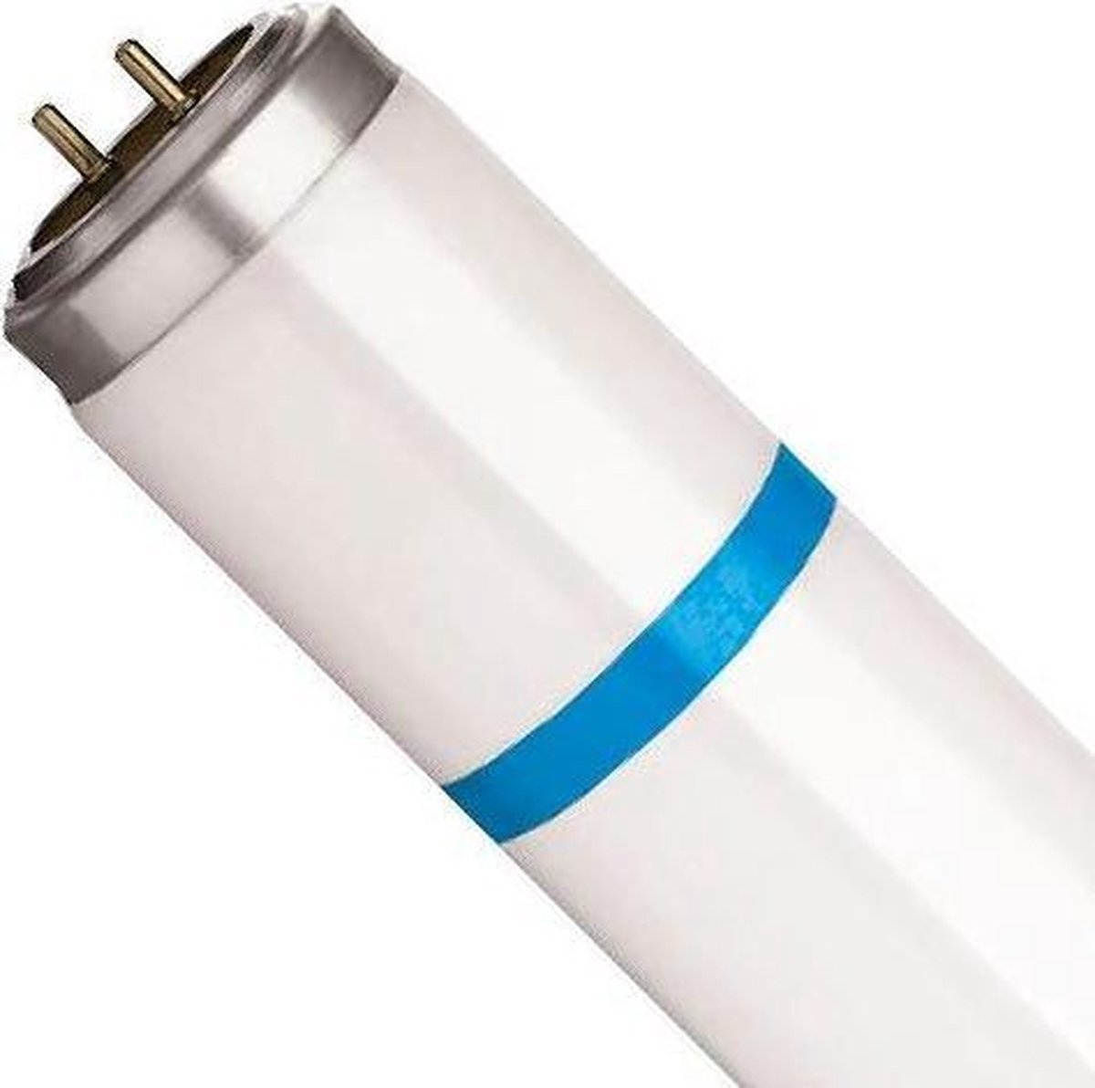 Knock Pest Reservelamp shatterproof 18 W