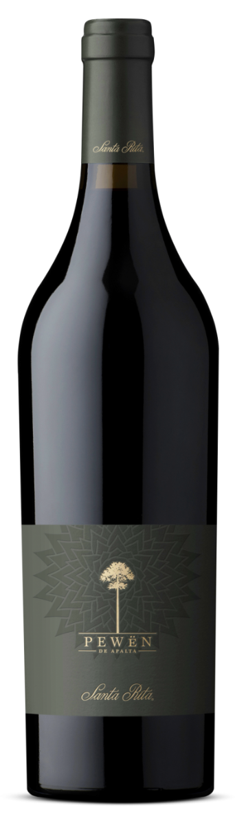 Pewën de Apalta Carmenere