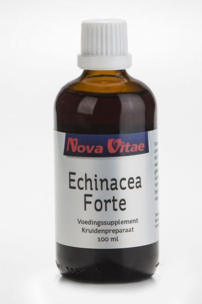 Echinacea forte 100ml